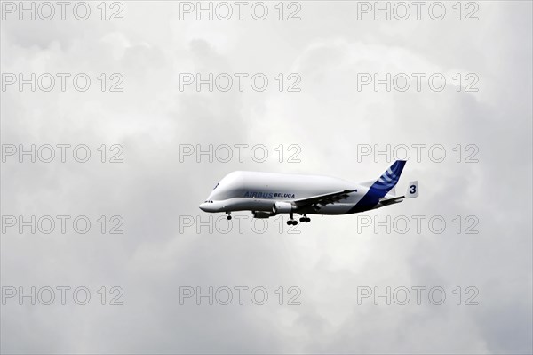 Beluga, Airbus, A300-600, aeroplane, transport aircraft, Airbus Beluga transport aircraft flying over cloudy sky, Hamburg, Hanseatic City of Hamburg, Germany, Europe