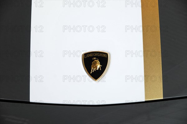 RETRO CLASSICS 2010, Stuttgart Messe, Stuttgart, Baden-Wuerttemberg, Germany, Europe, The golden Lamborghini logo on a pure white background, Europe