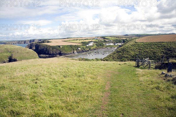 Abercastle bay coast path, Pembrokeshire, Wales, United Kingdom, Europe