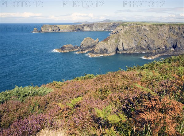 Coastal scenery near Trefin, Pembrokeshire Coast national park, Wales, United Kingdom, Europe