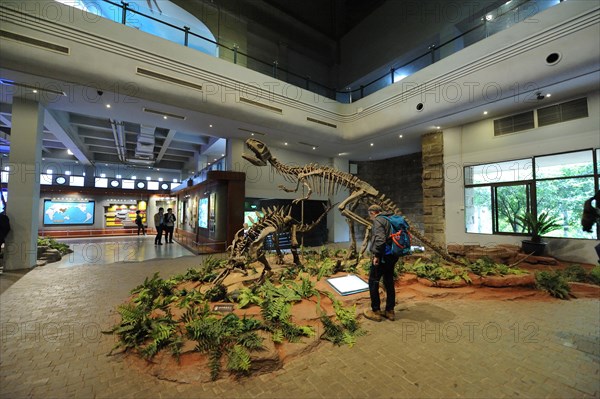 Zigong Dinosaur Museum, china