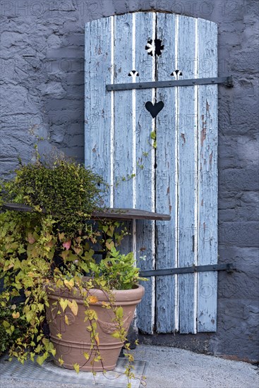 Old farmhouse, facade, decorated, flower pots, knotweed (Fallopia baldschuanica), weathered wooden door with heart, idyll, romantic, Nidda, Vogelsberg, Wetterau, Hesse, Germany, Europe