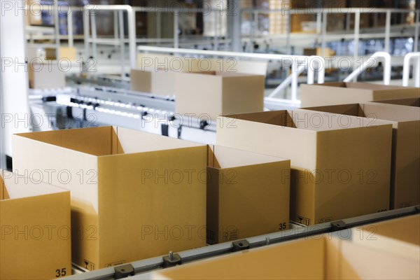 Cartons for dispatch on a conveyor belt in a logistics centre, Cologne, North Rhine-Westphalia, Germany, Europe