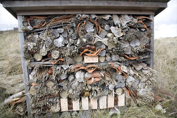 An insect hotel for wasps and bees, Ecomare, Texel, Netherlands