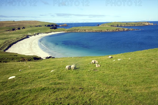 Sandy beach, Bay of Scousburgh, Shetland Islands, Scotland, United Kingdom, Europe