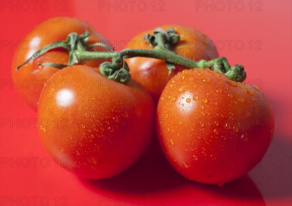 Fresh tomatoes, 14.03.2015