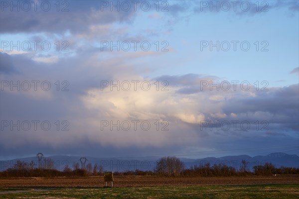 Mighty light to grey-blue clouds illuminated by the evening sun over the Black Forest as seen from Algolsheim, Haut-Rhin, Grand Est, France, Europe