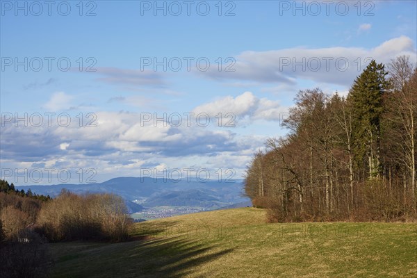 Winter landscape in the Black Forest with trees, milky blue sky and hazy distant view near Schuttertal, Ortenaukreis, Baden-Wuerttemberg, Germany, Europe