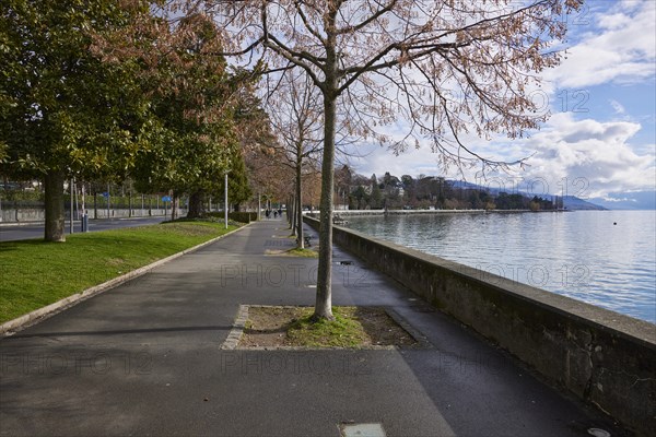 Winter lakeside promenade on Lake Geneva in the district of Ouchy, Lausanne, district of Lausanne, Vaud, Switzerland, Europe