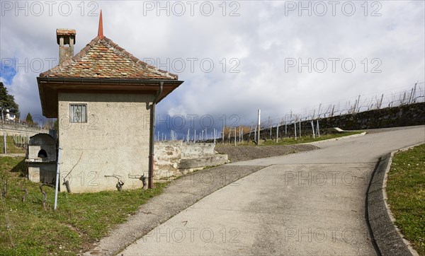 Steep path and historic small house with square floor plan, red roof and chimney in the UNESCO World Heritage Site of the Lavaux Vineyard Terraces near Jongny, Riviera-Pays-d'Enhaut district, Vaud, Switzerland, Europe