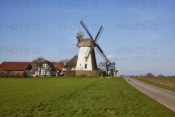 The Eickhorst windmill, a Wallhollaender from 1848, is part of the Westphalian Mill Road under a blue sky in Hille, Muehlenkreis Minden-Luebbecke, North Rhine-Westphalia, Germany, Europe