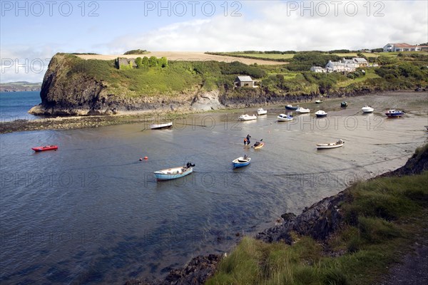 Abercastle bay, Pembrokeshire, Wales, United Kingdom, Europe