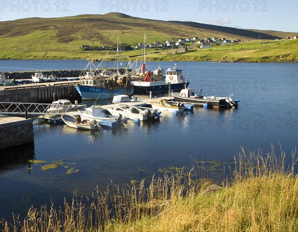 Fishing boats harbour Voe, Shetland Islands, Scotland, United Kingdom, Europe