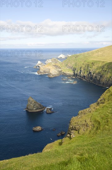 Cliffs coastal scenery, Hermaness, Unst, Shetland islands, Scotland, United Kingdom, Europe