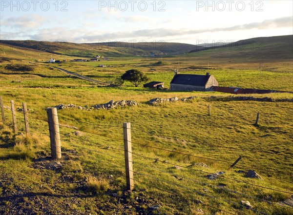Late afternoon crofting landscape Wethersta, Mainland, Shetland Islands, Scotland, United Kingdom, Europe