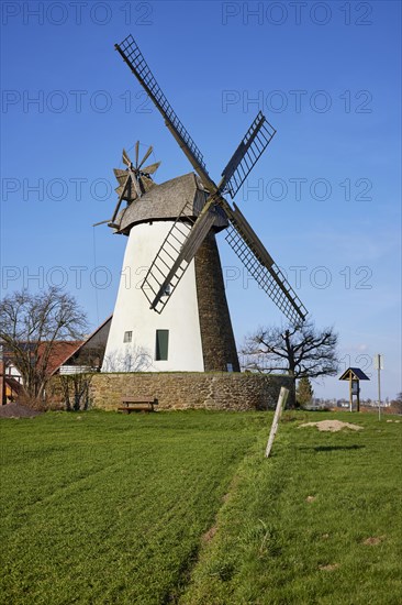 The Eickhorst windmill, a Wallhollaender from 1848, is part of the Westphalian Mill Road under a blue sky in Hille, Muehlenkreis Minden-Luebbecke, North Rhine-Westphalia, Germany, Europe
