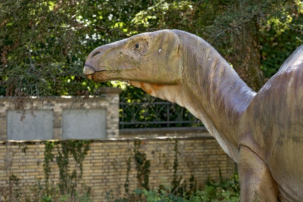 Dinosaur Iguanodon, iguana tooth, life-size replica in the garden in front of Hermann Hoffmann Academy, Justus Liebig University JLU, Old Town, Giessen, Giessen, Hesse, Germany, Europe