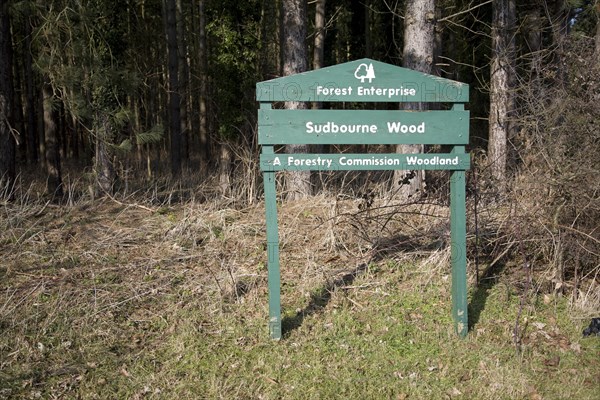 Forest Enterprise sign at Forestry Commission woodland, Sudbourne wood, Suffolk, England, United Kingdom, Europe