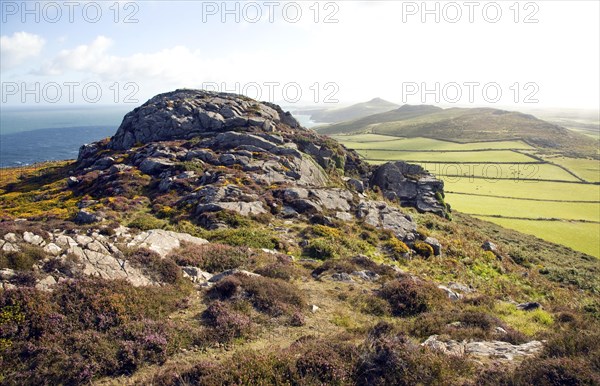 Carn Llidi tor looking north, St David's Head, Pembrokeshire, Wales, United Kingdom, Europe