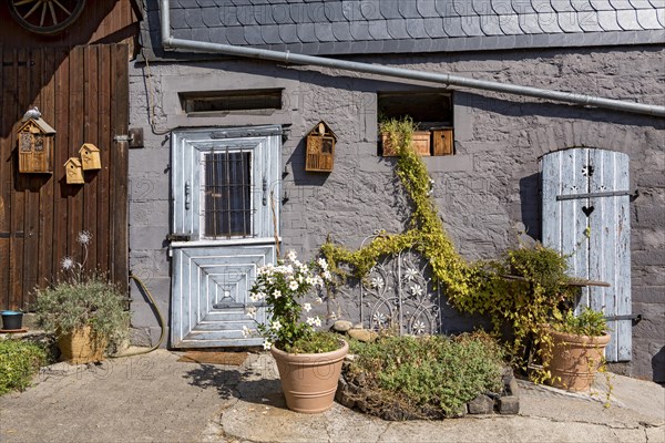 Old farmhouse, facade, decorated, flower pots, dipladenia (Mandevilla boliviensis), knotweed (Fallopia baldschuanica), weathered wooden door with heart, bird house, nesting box, idyll, romantic, Nidda, Vogelsberg, Wetterau, Hesse, Germany, Europe