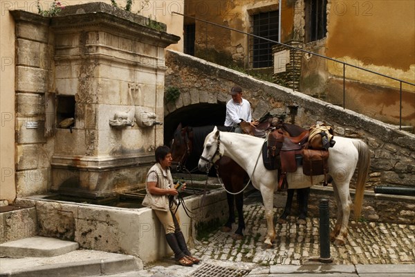 Horses in front of the dolphin fountain in Bonnieux, Luberon, Vaucluse, Provence, France, Europe