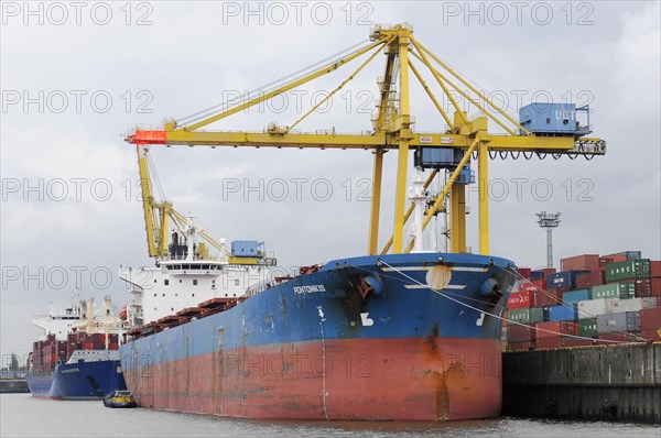 Older freighter loaded with containers next to a yellow harbour crane, Hamburg, Hanseatic City of Hamburg, Germany, Europe