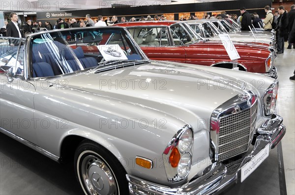 RETRO CLASSICS 2010, Stuttgart Messe, Front view of a silver-coloured Mercedes-Benz convertible at a car exhibition, Stuttgart Messe, Stuttgart, Baden-Wuerttemberg, Germany, Europe