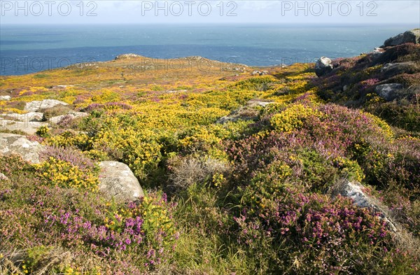 View to sea from Carn Llidi tor, St David's Head, Pembrokeshire, Wales, United Kingdom, Europe