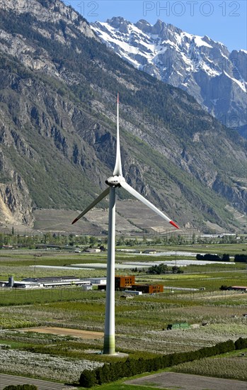 Enercon E-101 wind turbine of the Adonis wind power plant in the Rhone Valley, Charrat, Valais, Switzerland, Europe