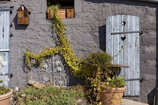 Old farmhouse, facade, decorated, flower pots, knotweed (Fallopia baldschuanica), weathered wooden door with heart, bird house, nesting box, idyll, romantic, Nidda, Vogelsberg, Wetterau, Hesse, Germany, Europe