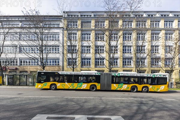 Bus stop for SSB AG buses, with advertisement Oekomobil, the buses run on synthetic fuel, Ostendstrasse Stuttgart, Baden-Wuerttemberg, Germany, Europe
