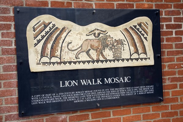 Roman remains, Lion Walk Mosaic, Colchester, Essex, England, UK