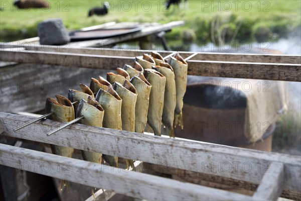 Smoking herring fish, Zuiderzee museum, Enkhuizen, Netherlands