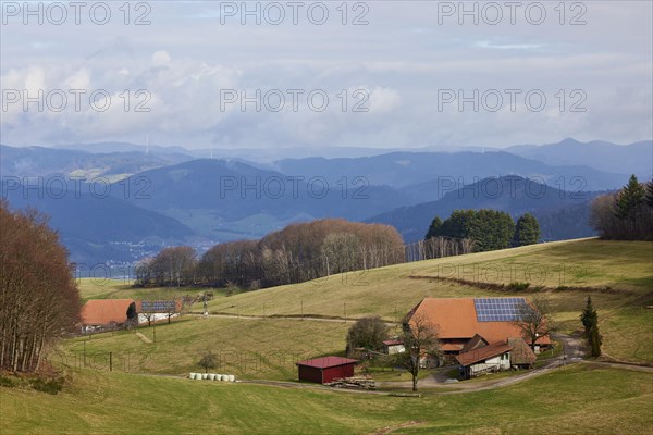 Farmsteads within meadows and haze-covered hills in the background in a landscape in the Black Forest near Hofstetten, Ortenaukreis, Baden-Wuerttemberg, Germany, Europe