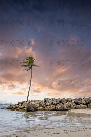 Caribbean dream beach with palm trees, white sandy beach and turquoise-coloured, crystal-clear water in the sea. Shallow bay at sunset. Plage de Sainte Anne, Grande Terre, Guadeloupe, French Antilles, North America