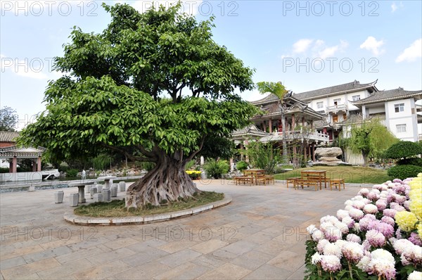 Zhu family garden, yunnan, china