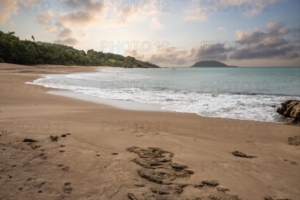 Lonely, wide sandy beach with turquoise-coloured sea. Tropical plants in a bay at sunset in the Caribbean. Plage de Cluny, Basse Terre, Guadeloupe, French Antilles, North America