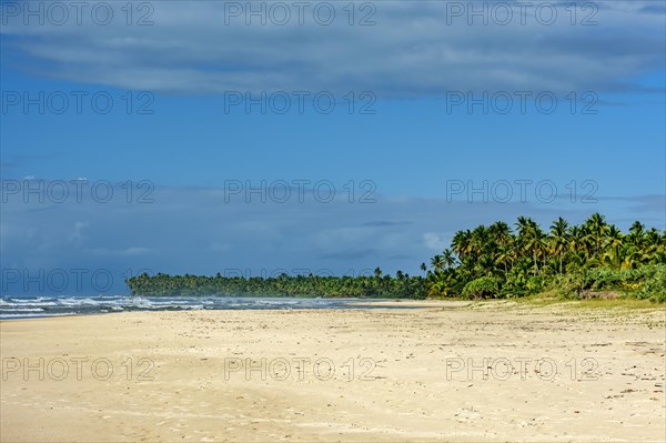 Paradisiacal beach surrounded by coconut trees in Serra Grande on the south coast of Bahia, Bahia, Brazil, South America