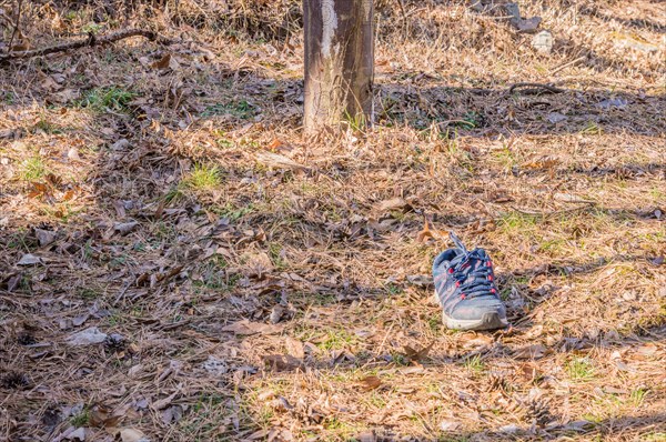 A lone shoe left in the grass under the soft morning light, casting long shadows, in South Korea