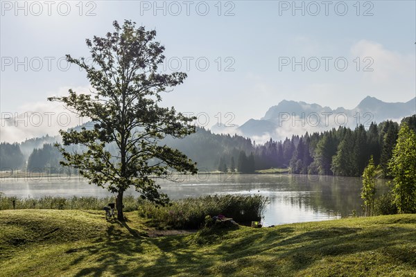 Sunrise and morning fog, Geroldsee or Wagenbruechsee, Kruen near Mittenwald, Werdenfelser Land, Upper Bavaria, Bavaria, Germany, Europe