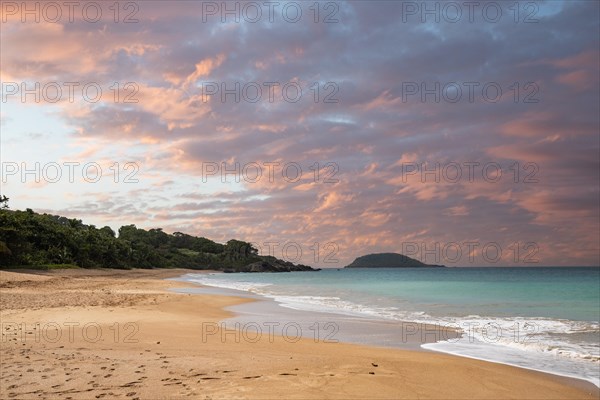 Lonely, wide sandy beach with turquoise-coloured sea. Tropical plants in a bay at sunset in the Caribbean. Plage de Cluny, Basse Terre, Guadeloupe, French Antilles, North America