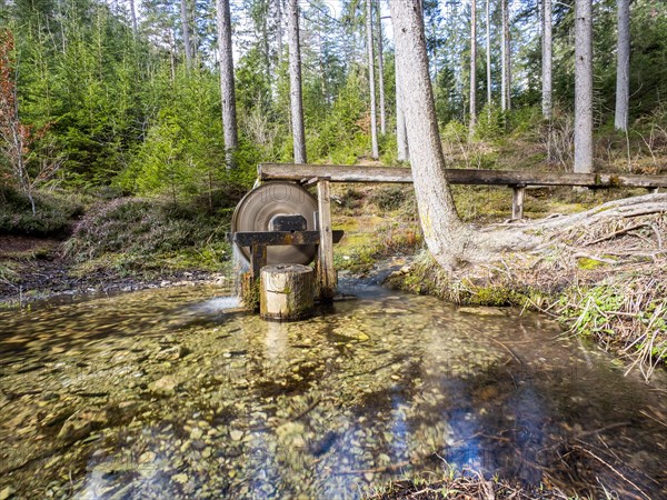 Laming flows into the Kreuzteich, small mill wheel, near Tragoess, Styria, Austria, Europe