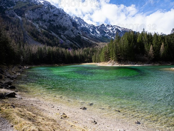 Gruener See, Tragoess, Styria, Austria, Europe