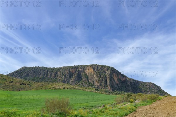 A lush, green meadow stretches out towards a rugged hill, rising prominently beneath a vast, clear blue sky. A trail along the meadow leads the eye towards the hill, emphasizing the natural beauty of the landscape