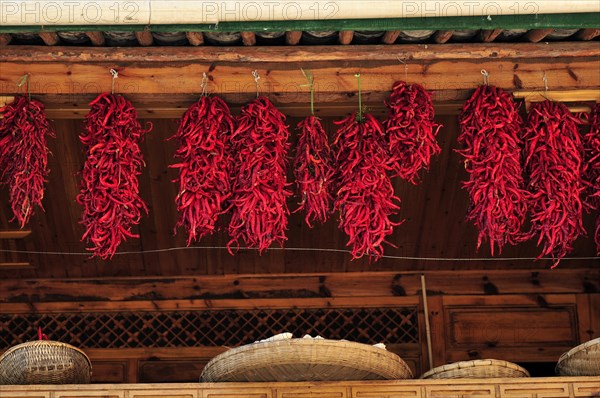 Red hot chilly pepper, china