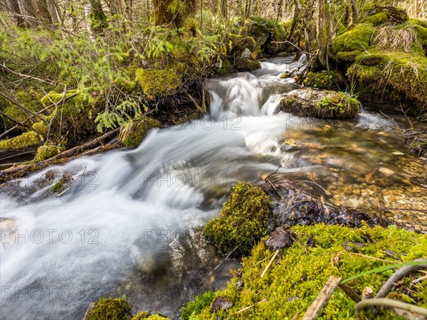 Lamingbach, Laming, long exposure, near Tragoess, Styria, Austria, Europe