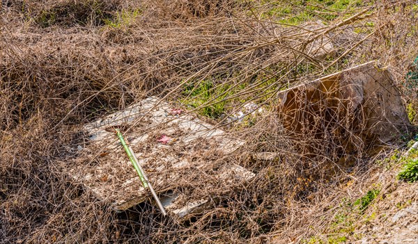 An outdoor scene with dry vegetation and litter showcasing improper waste disposal, in South Korea