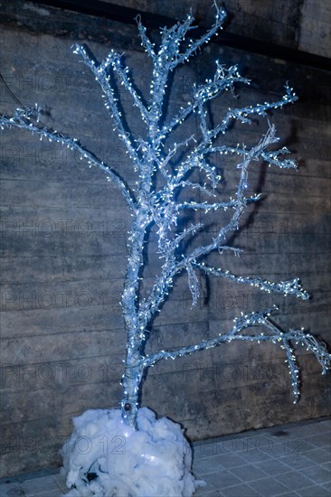 An artificial silver tree illuminated and decorated to resemble frost, set against a wooden backdrop, in South Korea