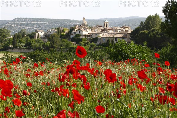 Lourmarin, Parc Naturel Regional du Luberon, Vaucluse, Provence, France, Europe