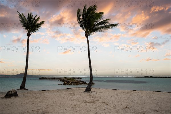 Caribbean dream beach with palm trees, white sandy beach and turquoise-coloured, crystal-clear water in the sea. Shallow bay at sunset. Plage de Sainte Anne, Grande Terre, Guadeloupe, French Antilles, North America